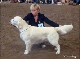 Matte och Rozzo