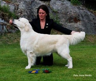 Charmally Moonblizzard och vår handler Monica Wessberg