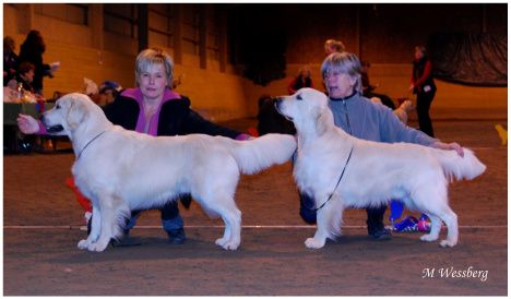 Blizz, Irene & Rozzo med handler Ulla Hägglund