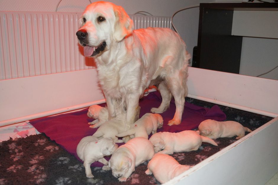 







Stolt mamma