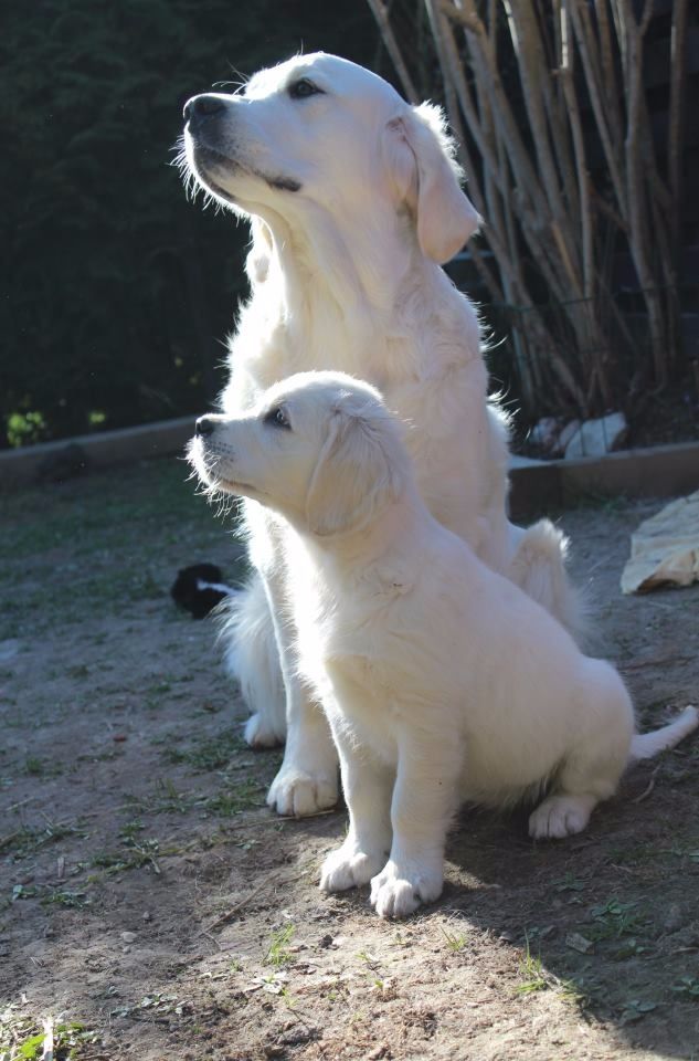 Daizie och lilla Dee 