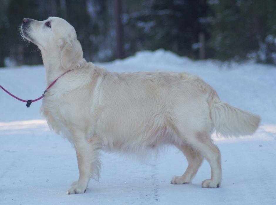 Dee 2016-01-17 efter en liten kort promenad med pappa