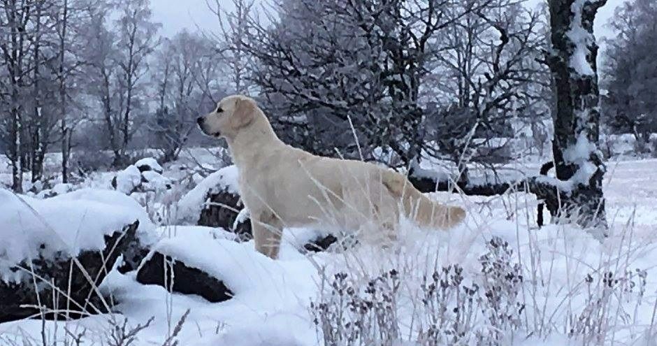 Elsa 10 mån