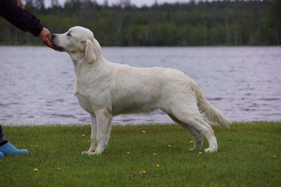 Elsa 8 mån 