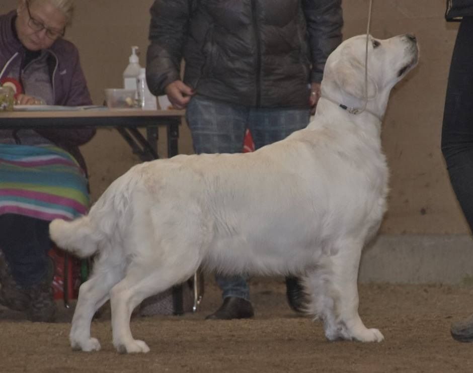 Lucky tar sitt andra CERT, SSRK Kumla februari 2018