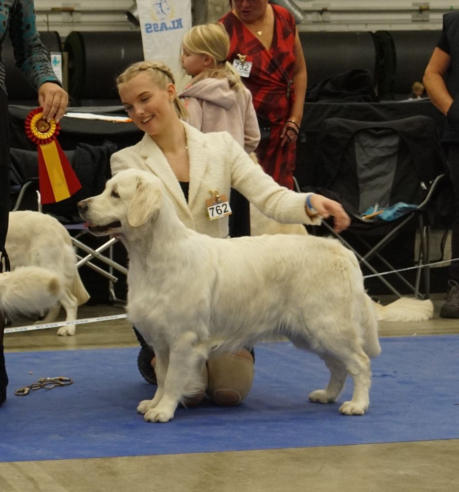 SKK Internationell Sundsvall, Tequila BIR, CACIB